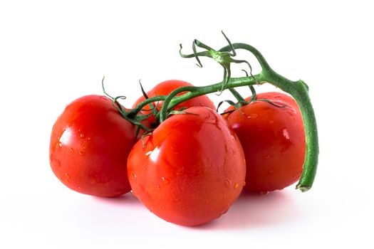 Four tomatoes washed, isolated on a white background.