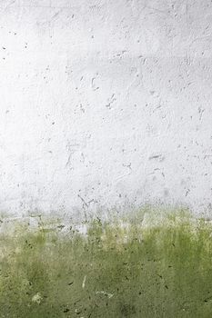Front view of a wall attacked by moss and mold.