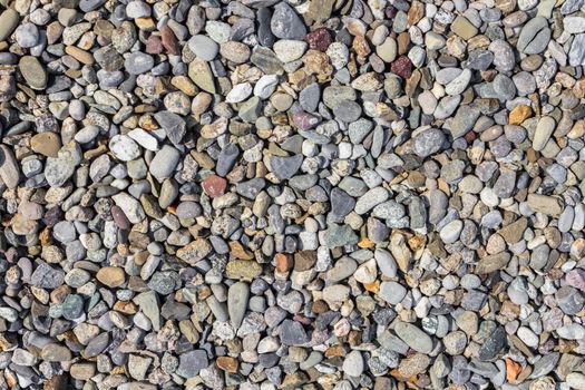 Colourful pebble texture. Multicolor and multi form pebbles, smooth or rough. It can be used as background.