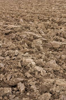 Open view on plowed ground in spring, ready for cultivation.