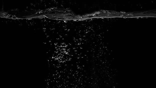 Water bubbles floating on black background which represent refreshing of refreshment from soda or carbonated drink and power of liquid that splashing or fizzing with blowing and streaming by air pump.