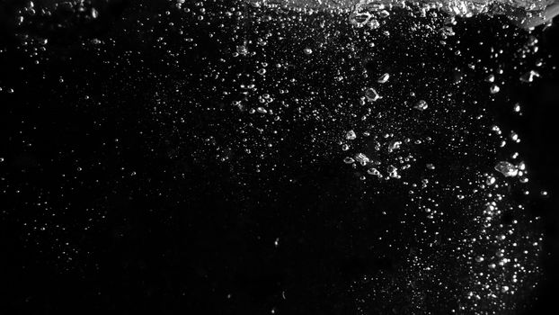 Water bubbles floating on black background which represent refreshing of refreshment from soda or carbonated drink and power of liquid that splashing or fizzing with blowing and streaming by air pump.