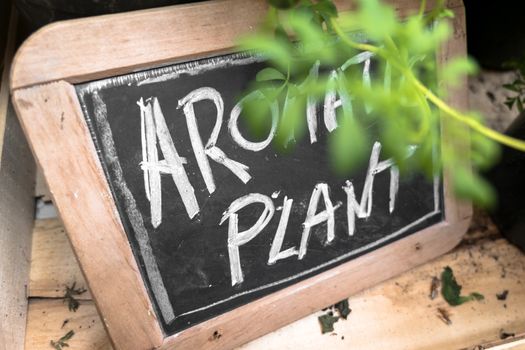 Small blackboard with "Aromatic Plant" inscription. Selected focus. Candid shot made in a shop of flowers and plants.
