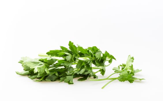 Fresh green basil isolated on white background