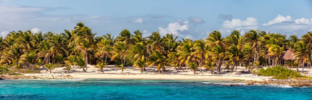 Beautiful panoramic view of a beach in Mexico. Turquoise waters and palm trees in the foreground and blue sky with clouds as a background.