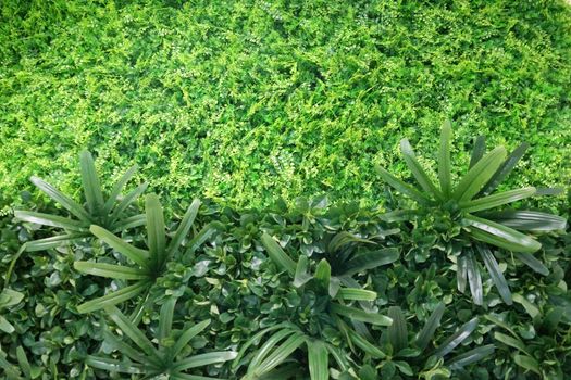 wall made of artificial green plants, artificial landscaping in the interior.