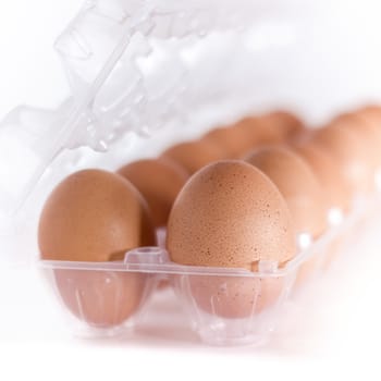 Close-up view of organic brown eggs on plastic egg carton isolated on white background. Defocused blurry background.