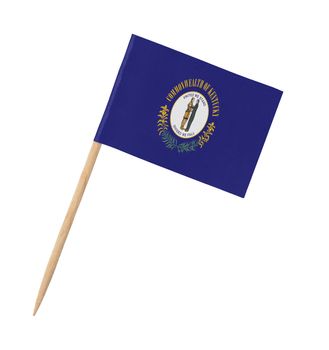 Small paper US-state flag on wooden stick - Kentucky - Isolated on white