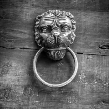 Black and white shot of a classic door knocker in the shape of a lion