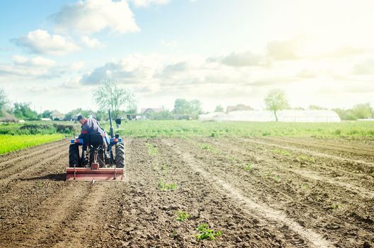 Farmer on a tractor loosens soil with milling machine. First stage of preparing soil for planting. Loosening surface, land cultivation. Use agricultural machinery. Farming, agriculture. Plowing field.