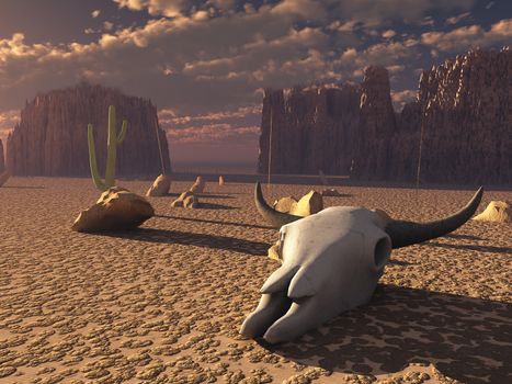 Skull in desert sunset. 3D rendering
