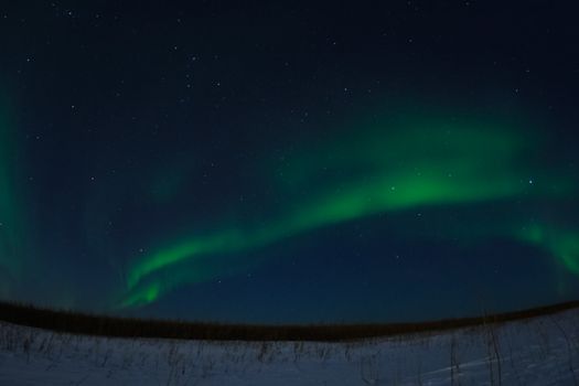 Northern Lights in the night sky. Northern Lights in the tundra.