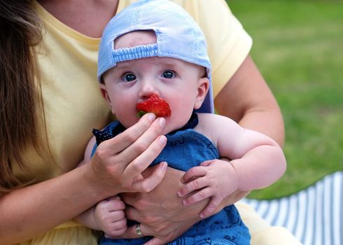 Mother feeding strawberries a child