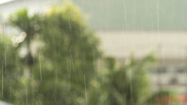 Blurred photo of a light rain or drizzle with trees in the background