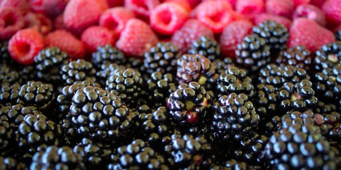 Banner. Close up of blackberries and raspberries in the background. Zavidovici, Bosnia and Herzegovina.