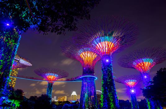 SINGAPORE - AUGUST 26, 2017: Supertrees at Gardens by the Bay. The tree-like structures are fitted with environment technology that mimic the ecology function of trees.