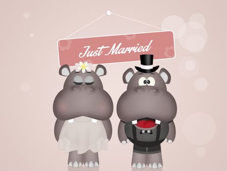 illustration of Wedding of hippos