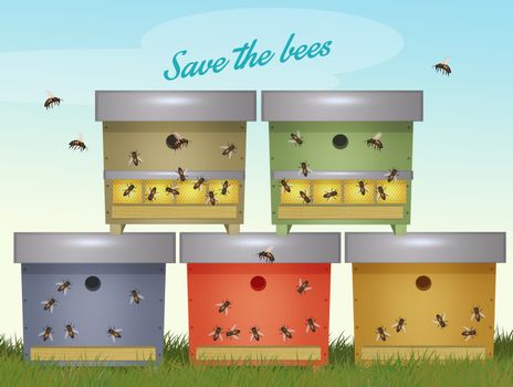illustration of bee colonies in beehives