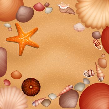 illustration of shells on the beach
