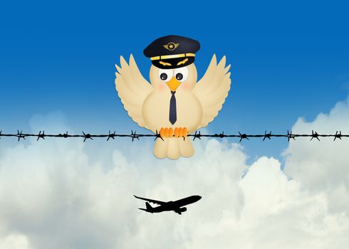 illustration of pilot bird on wire