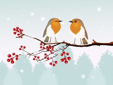 illustration of couple of robin birds in winter scenery