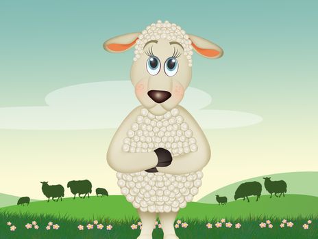 funny illustration of sheep