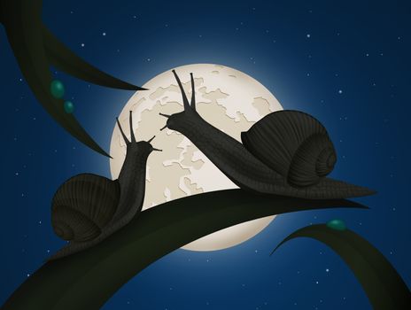 illustration of snails on leaf in the moonlight