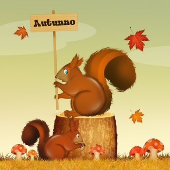 squirrel in autumn