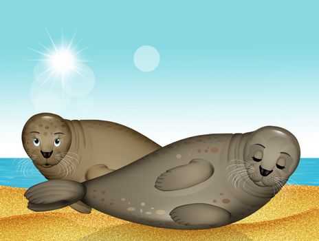funny illustration of seals on the beach