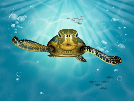 turtle in the blue ocean