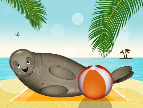 seal with beach ball on the beach