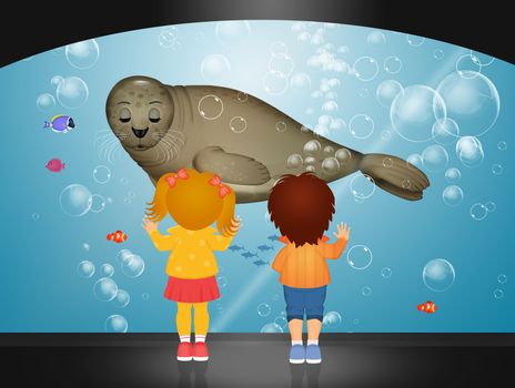 children looking seal in the aquarium