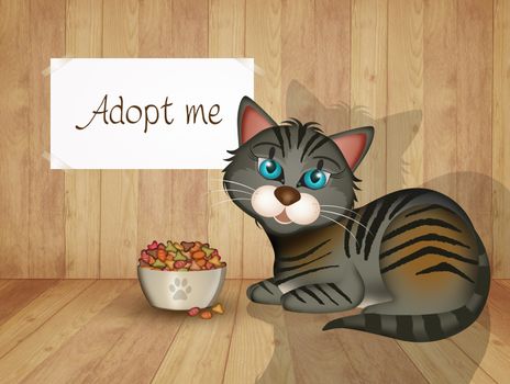 illustration of adopt a cat