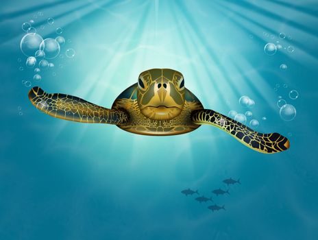 illustration of sea turtle in blue ocean