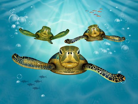 illustration of sea turtle migration