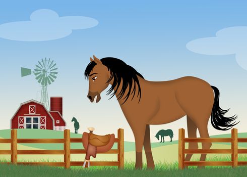 illustration of horse in the farm
