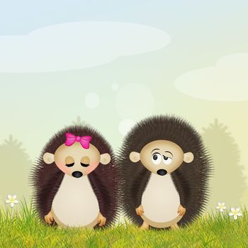 illustration of hedgehogs couple
