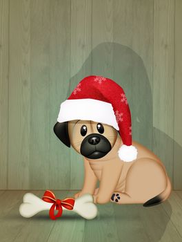 illustration of bone is Christmas gift for the little dog