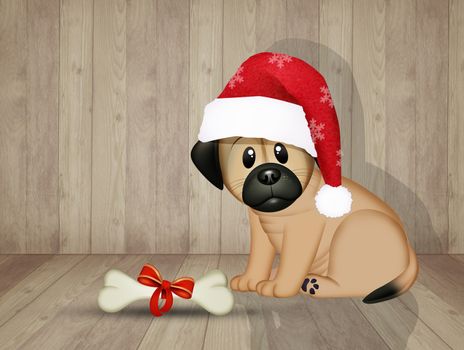 illustration of bone as a Christmas gift for the puppy