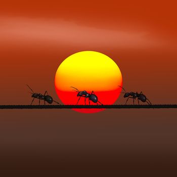 illustration of ants on wire at sunset