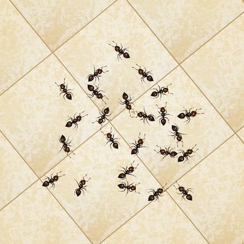 illustration of ants on the floor