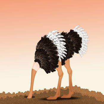 illustration of ostrich with his head in the sand