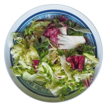 mixed leaf salad with green and red lettuce over white background