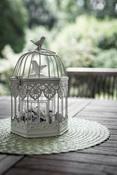 An old aviary garden, used as a flower pot.