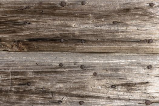 Old panel wood with rusty nails.