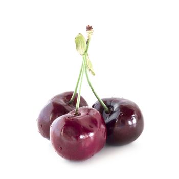 Three cherries covered with small drops of water, on white background.