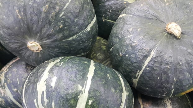 Heap of Green Pumpkin: A close-up view of large, fresh green pumpkins