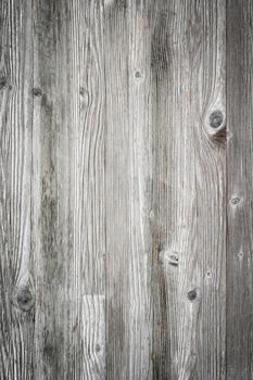 Wooden planks overlay texture for your design. Shabby chic background. Easy to edit wood texture backdrop.