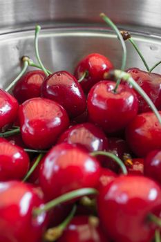 Close-up of amazing cherries served in a steel plate.