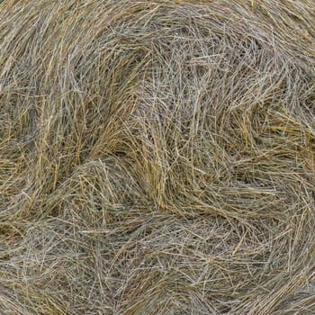 Detail of a big bale of hay after harvest.